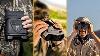 These 11 Night Vision Binoculars Are Awesome