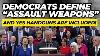 Les Démocrates Définissent Officiellement Les Armes D'assaut Et Oui, Les Pistolets Sont Inclus.