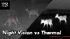 Vision Nocturne Vs Thermal Atn